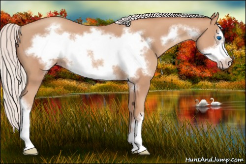 Horse Color:Silver Classic Champagne Frame 