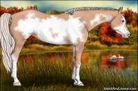Horse Color:Silver Classic Champagne Frame