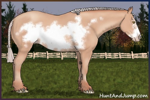 Horse Color:Silver Amber Champagne Frame 