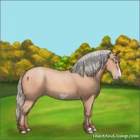 Horse Color:Silver Amber Champagne Frame 