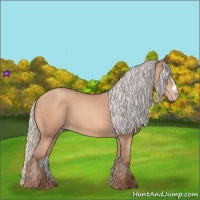 Horse Color:Silver Amber Champagne Frame 