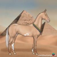 Horse Color:Silver Amber Champagne Frame 