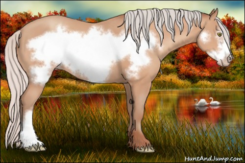 Horse Color:Silver Amber Champagne Frame