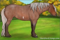 Horse Color:Silver Brown Roan Frame 