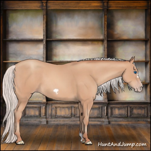Horse Color:Silver Amber Champagne Frame