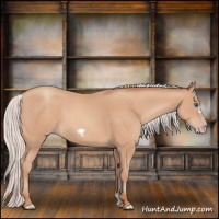 Horse Color:Silver Amber Champagne Frame 