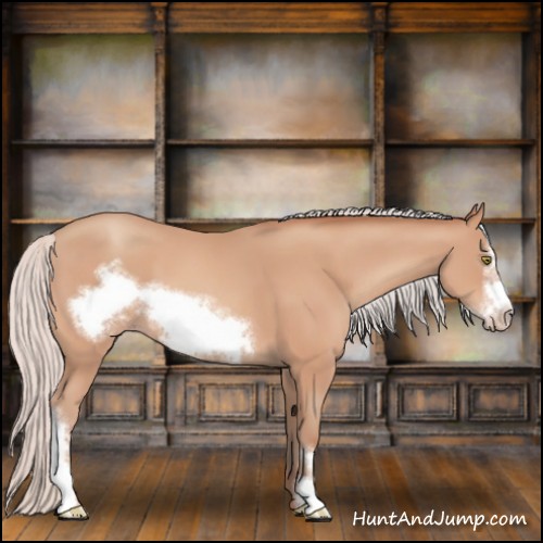 Horse Color:Silver Amber Champagne Frame 
