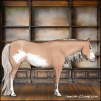 Horse Color:Silver Amber Champagne Frame
