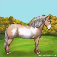 Horse Color:Silver Amber Champagne Frame 