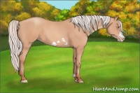 Horse Color:Silver Amber Champagne Frame 