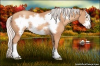 Horse Color:Silver Amber Champagne Frame 