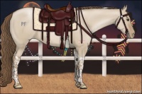 Horse Color:Grullo Pearl Tobiano 