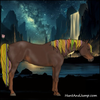 Horse Color:Gray Painted Chestnut 