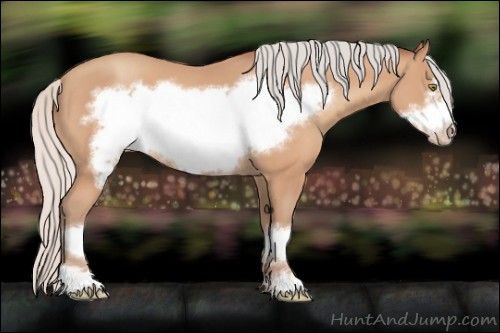 Horse Color:Silver Amber Champagne Frame 