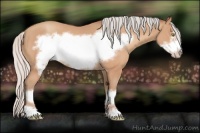 Horse Color:Silver Amber Champagne Frame 