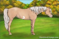 Horse Color:Silver Amber Champagne Frame