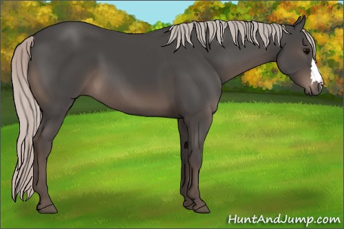 Horse Color:Silver Black 