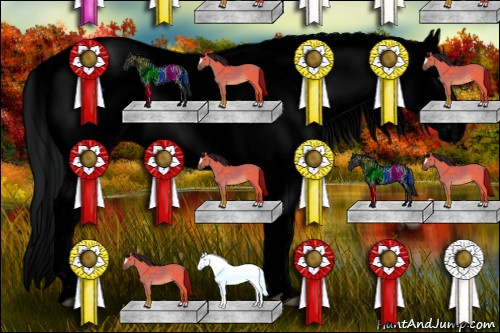 Horse Color:Void Black Ice Frame 