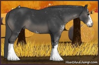 Horse Color:Black Sabino 