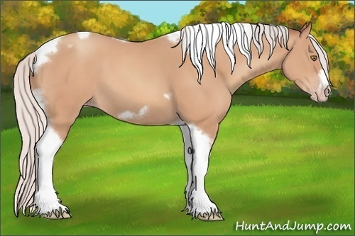 Horse Color:Silver Amber Champagne Tobiano Frame 