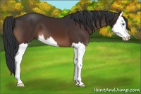 Horse Color:Brown Splash