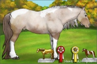 Horse Color:Black Pearl Sabino Tobiano 