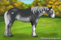 Horse Color:Silver Black Chinchilla 
