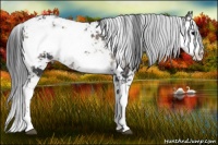 Horse Color:Platinum Blue Onyx Sabino