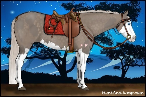 Horse Color:Grullo Sabino Splash  and Silver Grullo Sabino Splash 