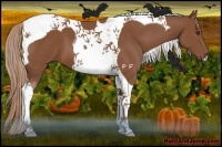 Horse Color:Chestnut Tobiano 