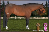 Horse Color:Bay Rabicano 