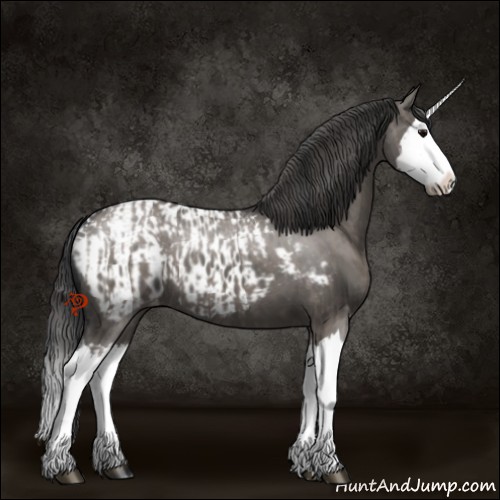 Horse Color:Platinum Grullo Sabino Splash  and Platinum Grullo Sabino Splash Appaloosa 
