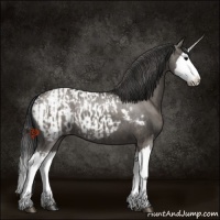 Horse Color:Platinum Grullo Sabino Splash  and Platinum Grullo Sabino Splash Appaloosa 