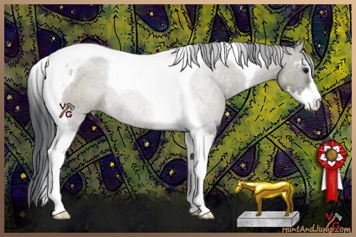 Horse Color:Grullo Sabino Tobiano Rabicano 