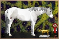 Horse Color:Grullo Sabino Tobiano Rabicano