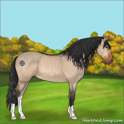 Horse Color:Brown Dun 
