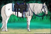 Horse Color:Silver Buckskin Pearl Dun Sabino Splash Appaloosa Rabicano