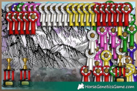 Horse Color:White Spotted Buckskin 