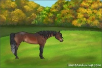 Horse Color:Brown 