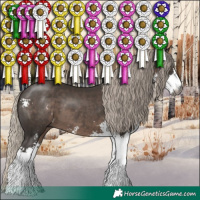 Horse Color:Gray Silver Black Sabino 