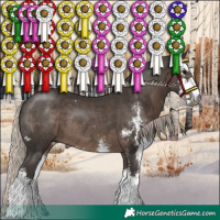 Horse Color:Gray Silver Black Sabino