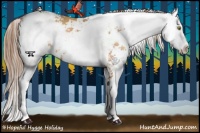 Horse Color:Brown Pearl Sabino
