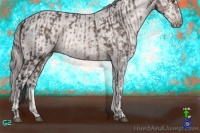 Horse Color:Platinum Buckskin  and Platinum Perlino 