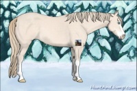 Horse Color:Perlino Sabino 