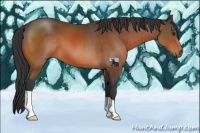 Horse Color:Brown 