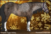 Horse Color:Brown Ice Dun