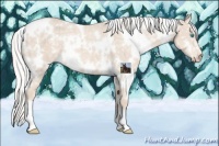 Horse Color:White Spotted Silver Smoky Creme Ice 