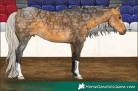 Horse Color:Silver Buckskin Ice 