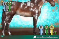 Horse Color:White Spotted Chocolate Brown 