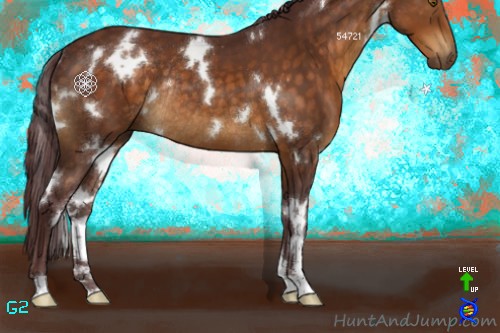 Horse Color:White Spotted Chocolate Buckskin Rabicano 